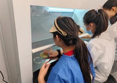 亲自动手培养细菌 成都首个生物研学实验室正式亮相