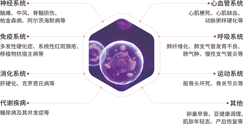 2025-7-8 胎盘4折页(胎盘间充质干细胞)Q 2025-7-8 胎盘4折页(胎盘间充质干细胞)Q