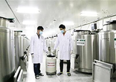 冻存了11年又4个月的脐带血出罐 白血病患者迎来生命曙光