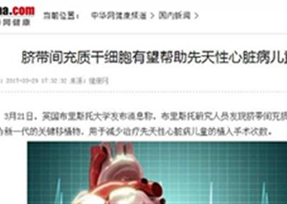 2017年脐带间充质干细胞研究与应用新闻盘点