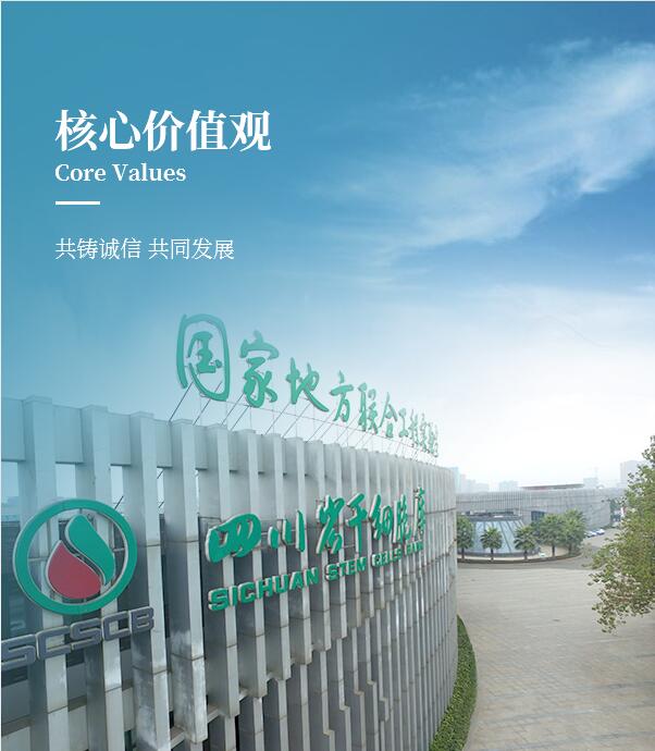 核心价值观