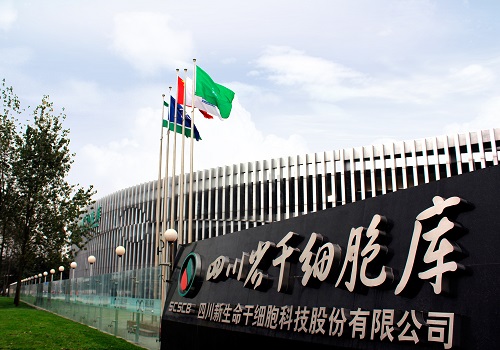 图片6