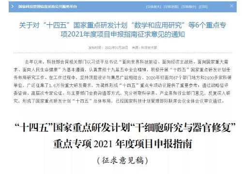图片9