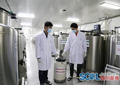 权威专家解读：脐带血应用价值不容否定