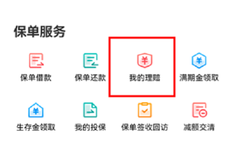 图片7