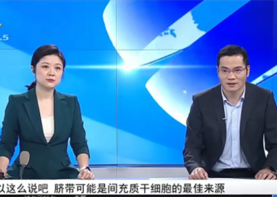 华西教授石毓君：新生儿脐带是间充质干细胞的理想来源