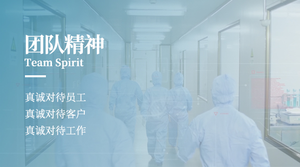 团队精神
