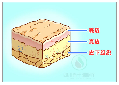 6402.webp