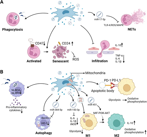 64011.webp 64011.webp