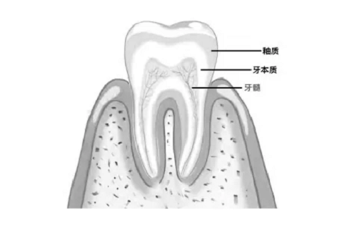 6401.webp