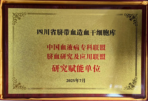 6402.webp