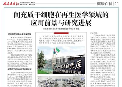 间充质干细胞在再生医学领域的应用前景与研究进展