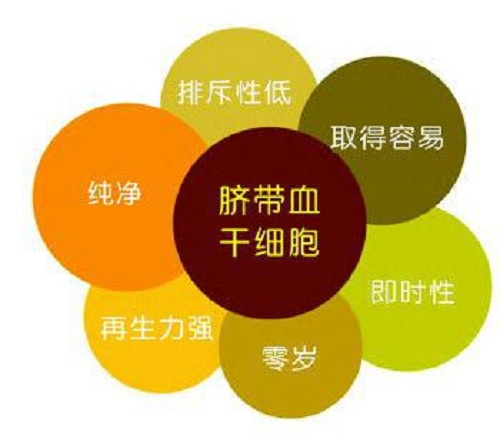 脐带血目前能够治疗哪些疾病?